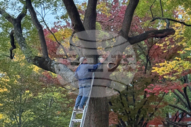 DC Federal Intervention