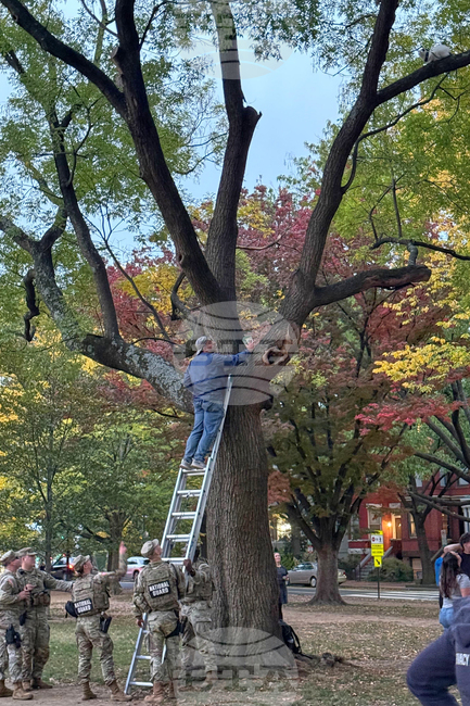 DC Federal Intervention