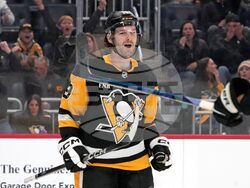 Canucks Penguins Hockey