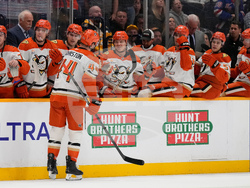 Ducks Predators Hockey