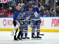 Devils Maple Leafs Hockey