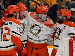 Ducks Predators Hockey