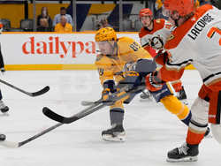 Ducks Predators Hockey