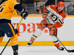 Ducks Predators Hockey