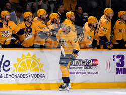 Ducks Predators Hockey