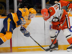 Ducks Predators Hockey