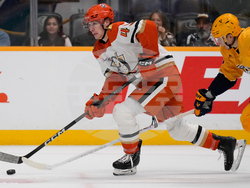 Ducks Predators Hockey