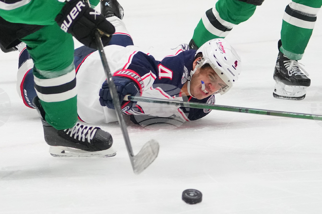 APTOPIX Blue Jackets Stars Hockey