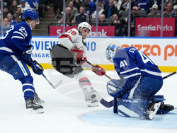 Devils Maple Leafs Hockey