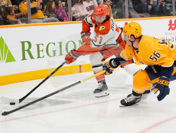 Ducks Predators Hockey