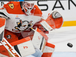 Ducks Predators Hockey