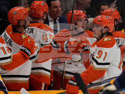 Ducks Predators Hockey