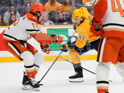 Ducks Predators Hockey