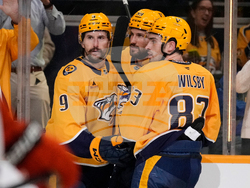 Ducks Predators Hockey