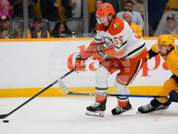 Ducks Predators Hockey