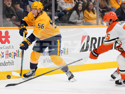 Ducks Predators Hockey