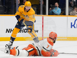 Ducks Predators Hockey