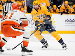 Ducks Predators Hockey