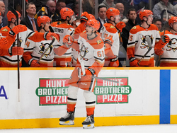 Ducks Predators Hockey