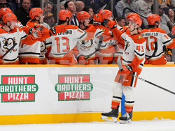 Ducks Predators Hockey