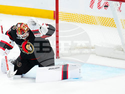 Oilers Senators Hockey