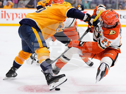 Ducks Predators Hockey