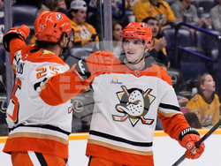 Ducks Predators Hockey