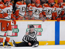 Ducks Predators Hockey