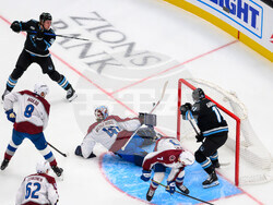 Avalanche Mammoth Hockey