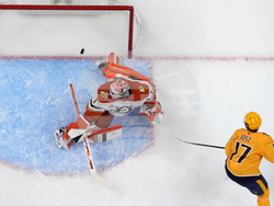 Ducks Predators Hockey