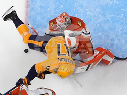 Ducks Predators Hockey