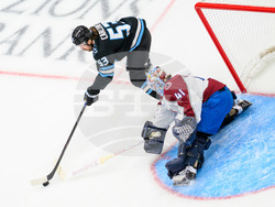 Avalanche Mammoth Hockey