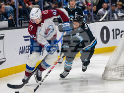 Avalanche Mammoth Hockey
