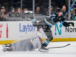 Avalanche Mammoth Hockey