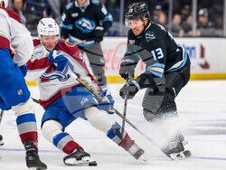 Avalanche Mammoth Hockey