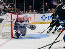 Avalanche Mammoth Hockey