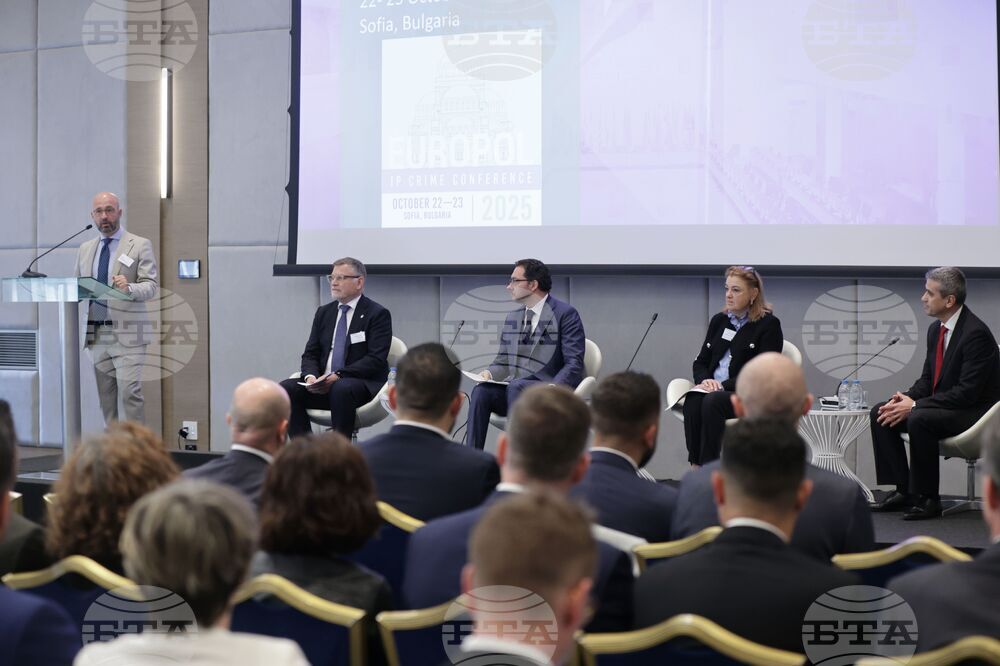 30% Increase in Counterfeit Goods Seized in EU Compared to 2022 - Interior Minister