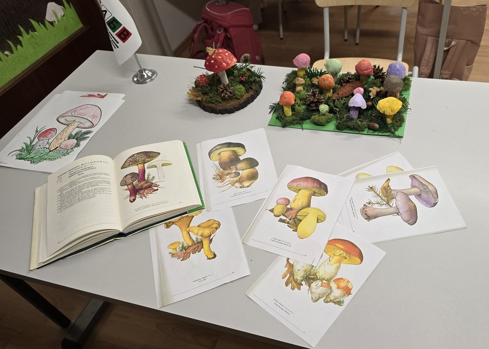 Учениците от втори клас в училище „Св. св. Кирил и Методий“ във Виена реализираха проект „Гъбите в гората“