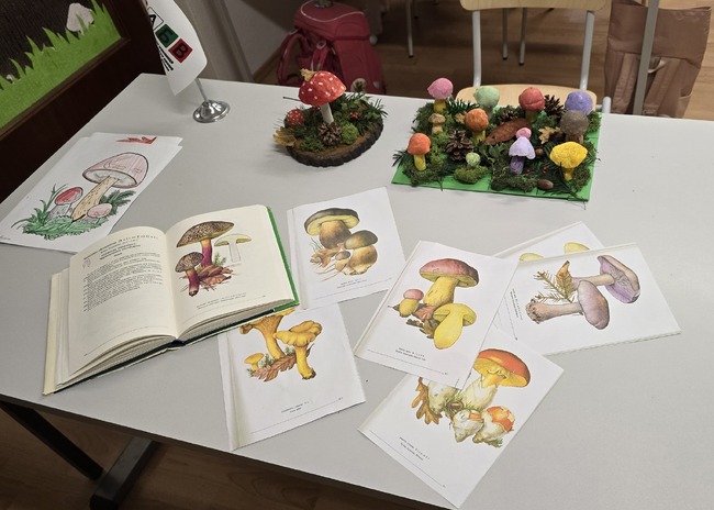 Учениците от втори клас в училище „Св. св. Кирил и Методий“ във Виена реализираха проект „Гъбите в гората“