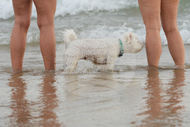 Australia Extreme Weather