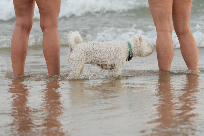 Australia Extreme Weather