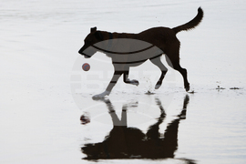 Australia Extreme Weather