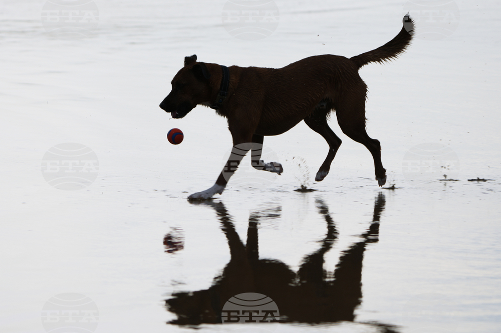 Australia Extreme Weather