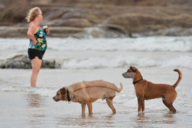 Australia Extreme Weather