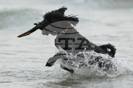 Australia Extreme Weather