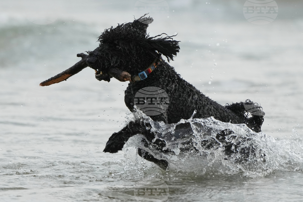 Australia Extreme Weather