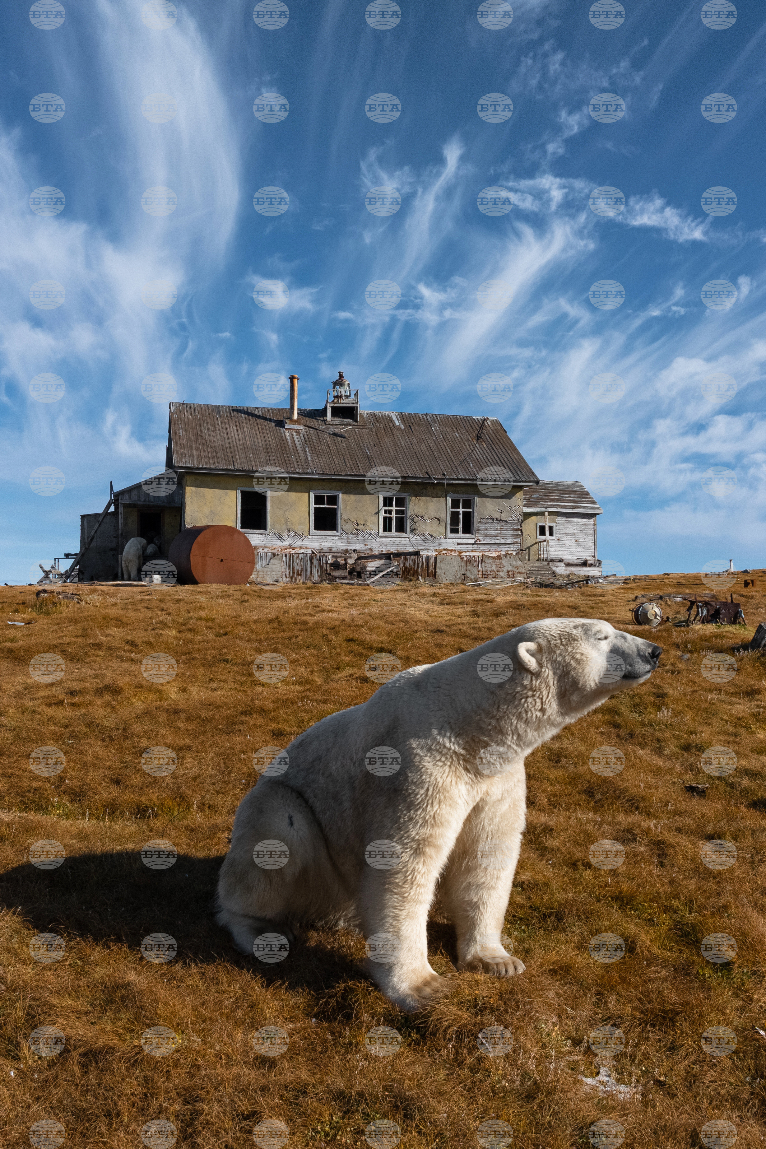 Top Vertical Photos Photo Gallery