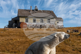 Top Vertical Photos Photo Gallery