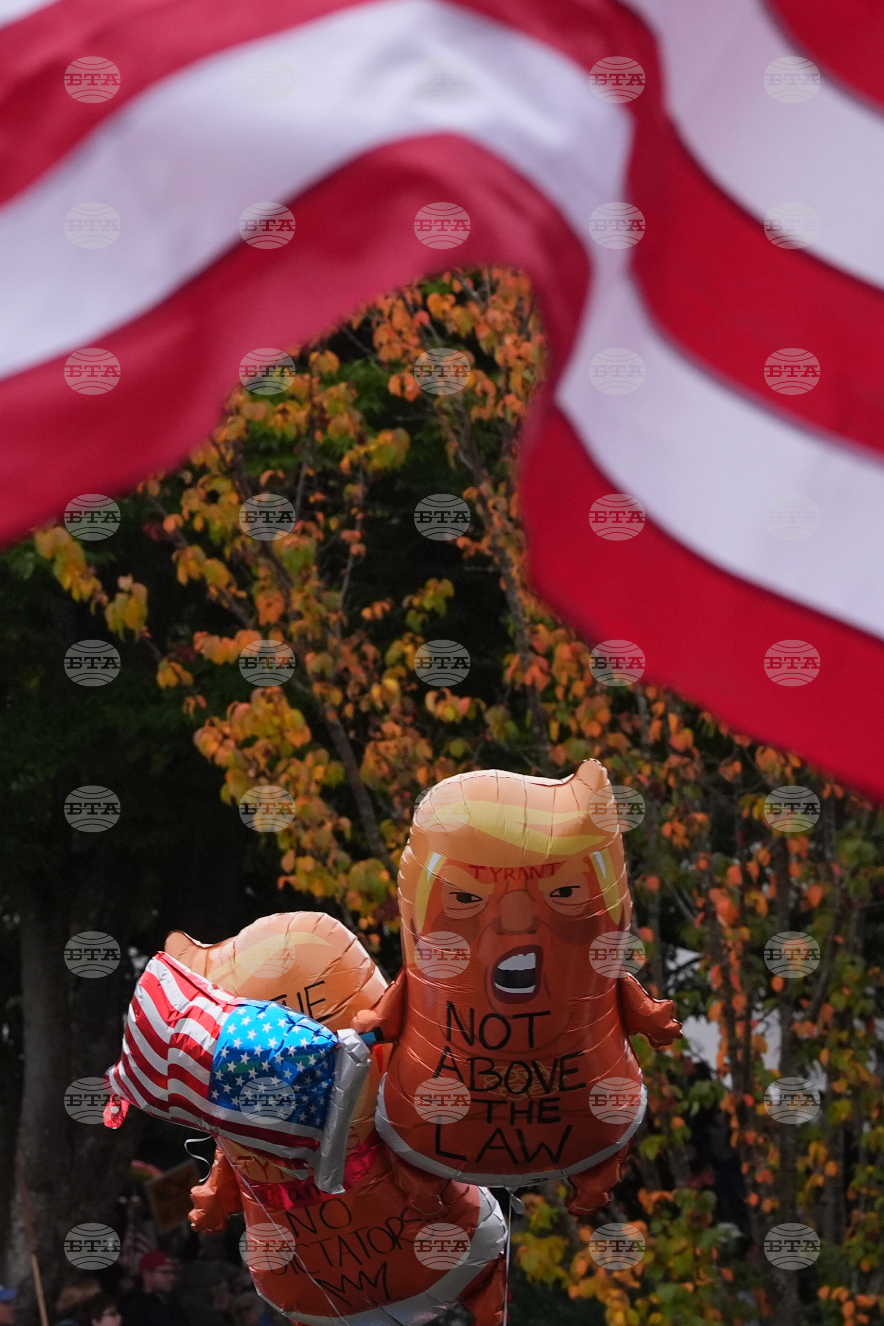 Top Vertical Photos Photo Gallery