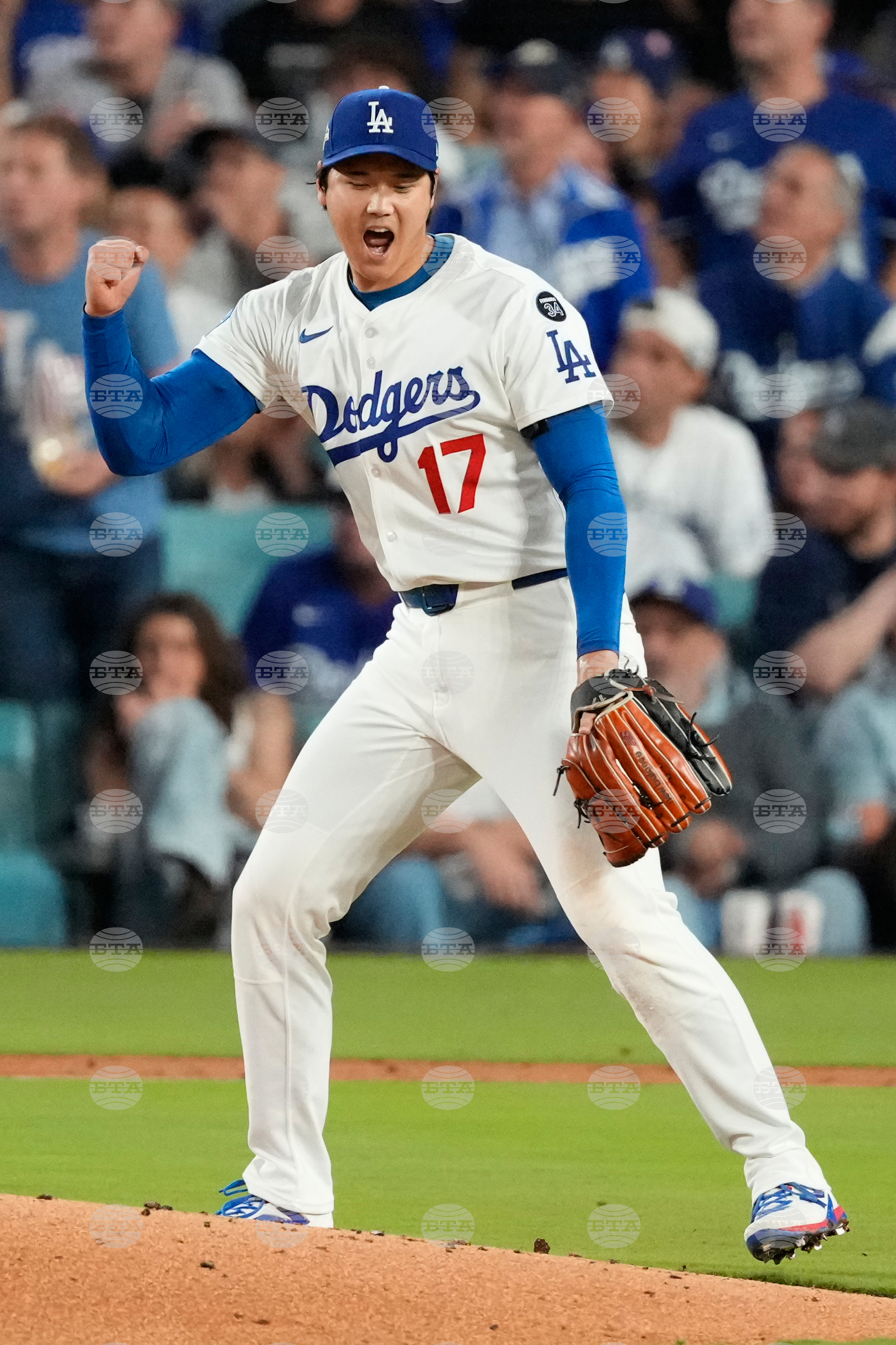 Top Vertical Photos Photo Gallery